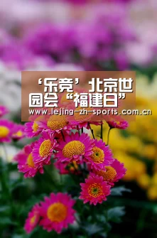 ‘乐竞’北京世园会“福建日”活动举行(图3) 乐竞