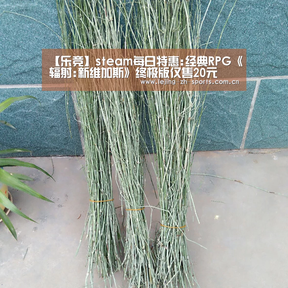 【乐竞】steam每日特惠:经典RPG《辐射:新维加斯》终极版仅售20元(图3) 乐竞官网