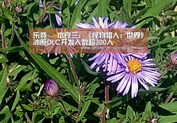乐竞体育